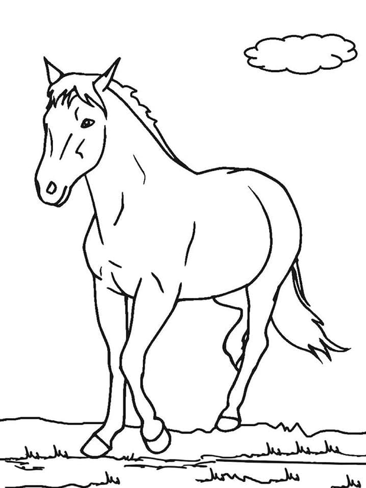 Desenho de Cavalo Grátis para Colorir