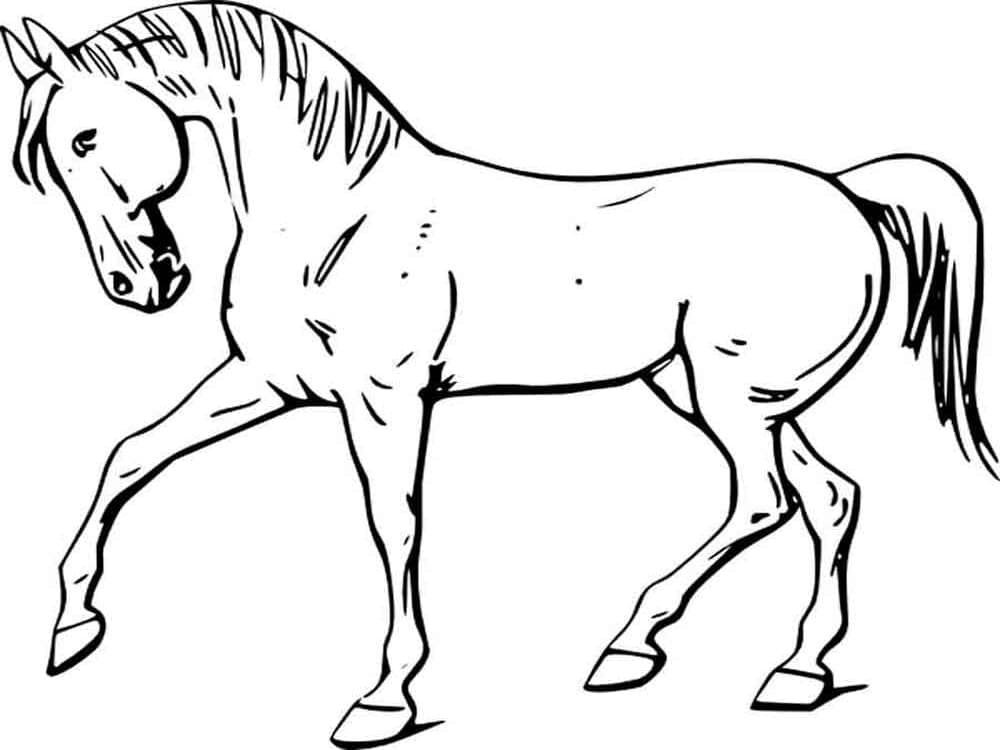 Desenho de Cavalo Normal para Colorir