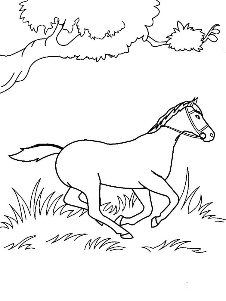 Desenho de Cavalo para Crianças para Colorir