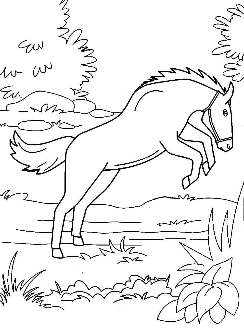 Desenho de Cavalo Selvagem para Colorir