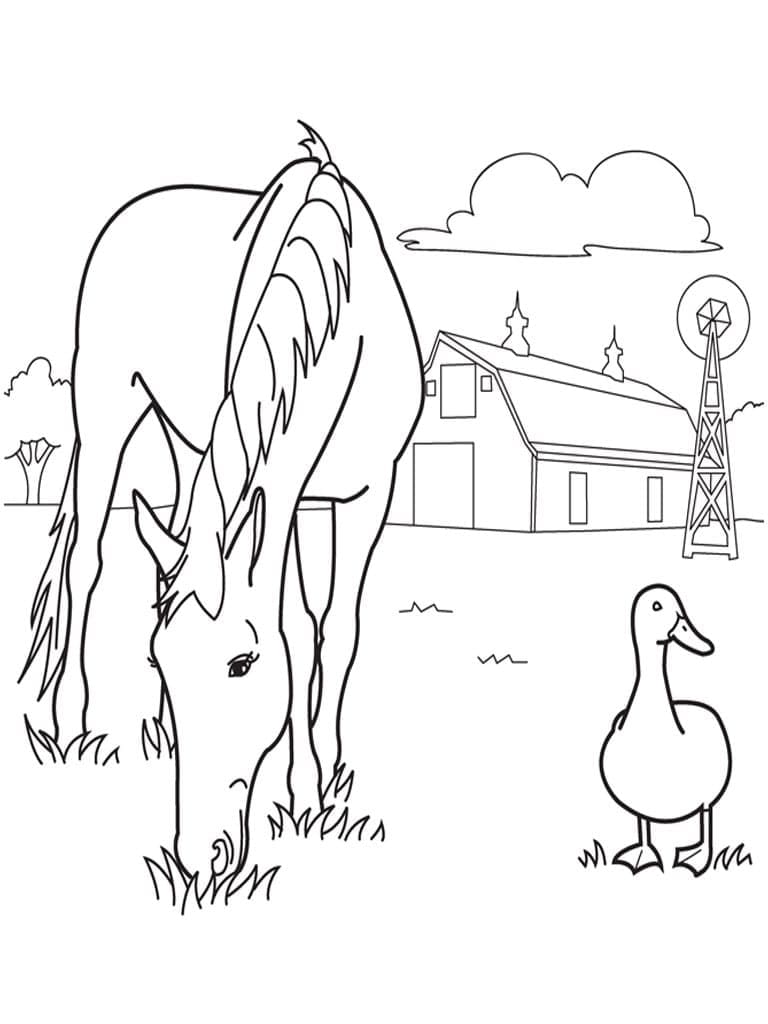 Desenho de Cavalo e Pato para Colorir