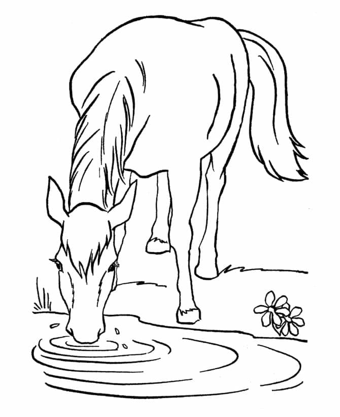 Desenho de Cavalo Está Bebendo Água para Colorir
