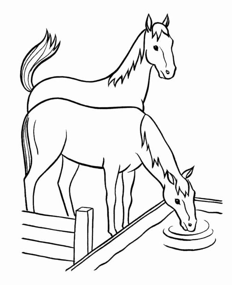 Desenho de Cavalos para Colorir