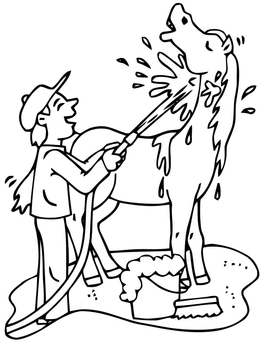 Desenho de Dando Banho no Cavalo para Colorir