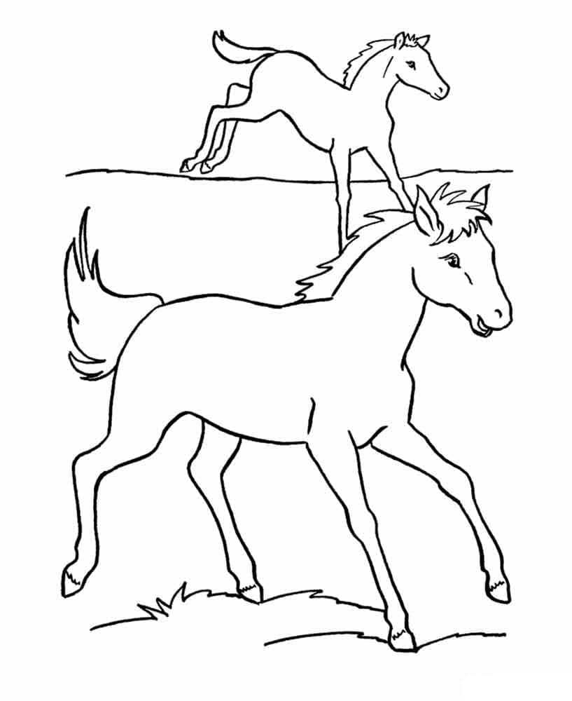 Desenho de Dois Cavalos para Colorir