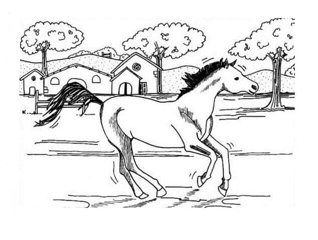 Desenho de Imagem de Cavalo para Colorir