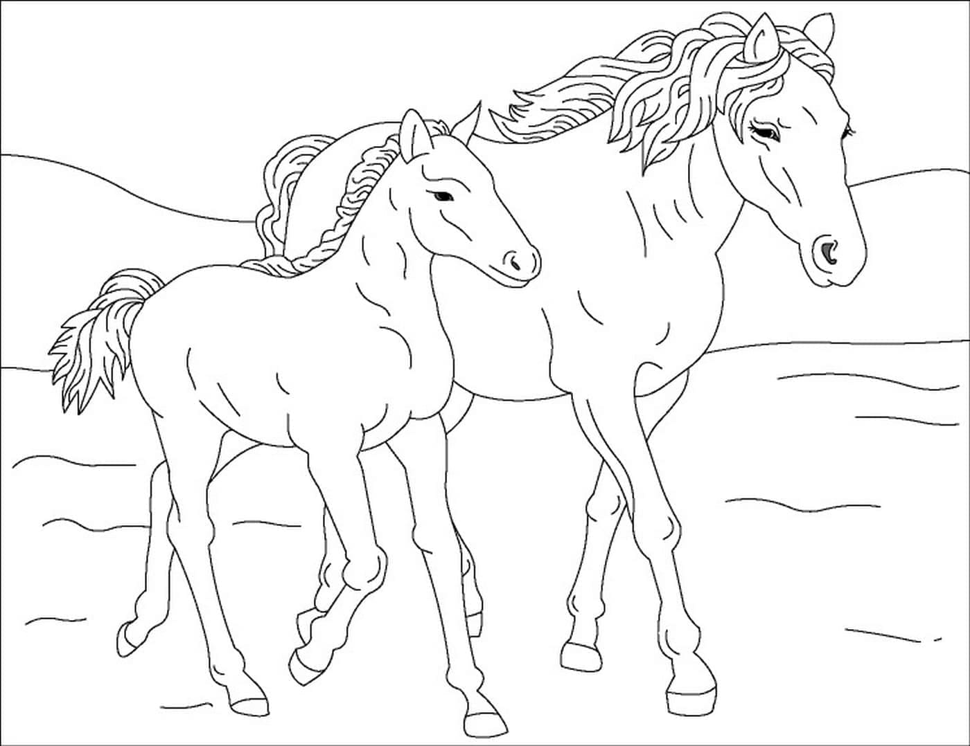 Desenho de Mãe e Bebê Cavalo para Colorir