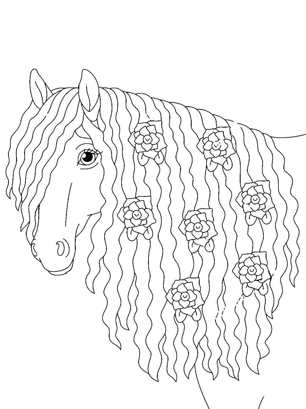 Desenho de um Cavalo Maravilhoso para Colorir