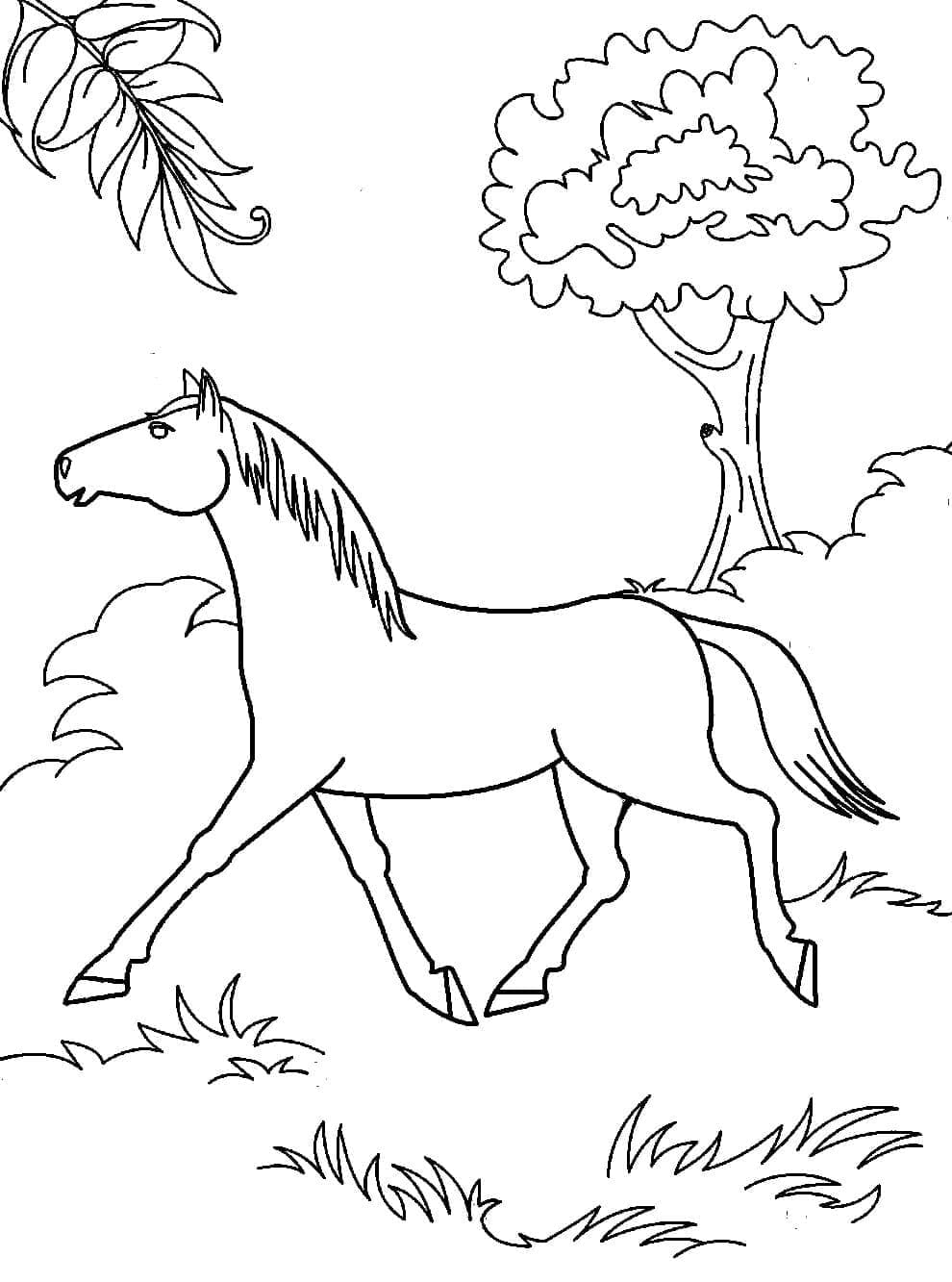 Desenho de um Cavalo Selvagem para Colorir