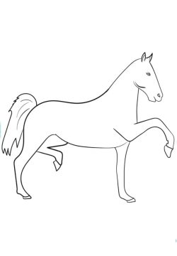 Desenho de Um Cavalo Simples para Colorir