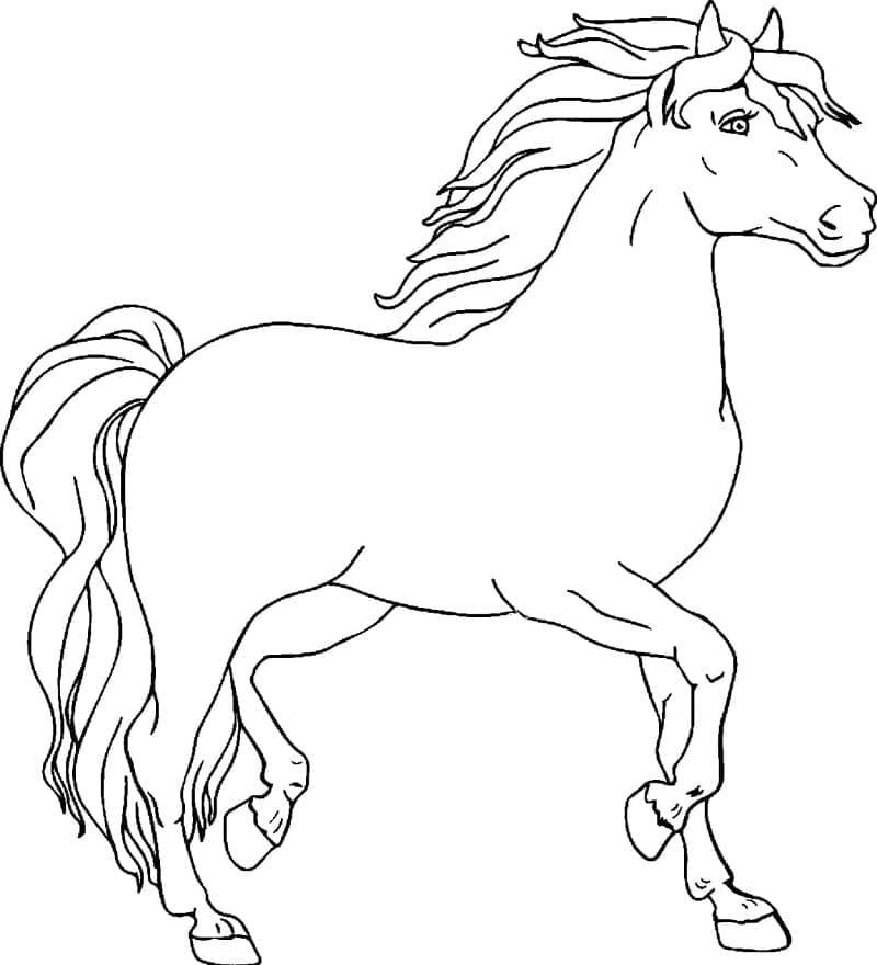 Desenho de um Cavalo de Desenho Animado para Colorir