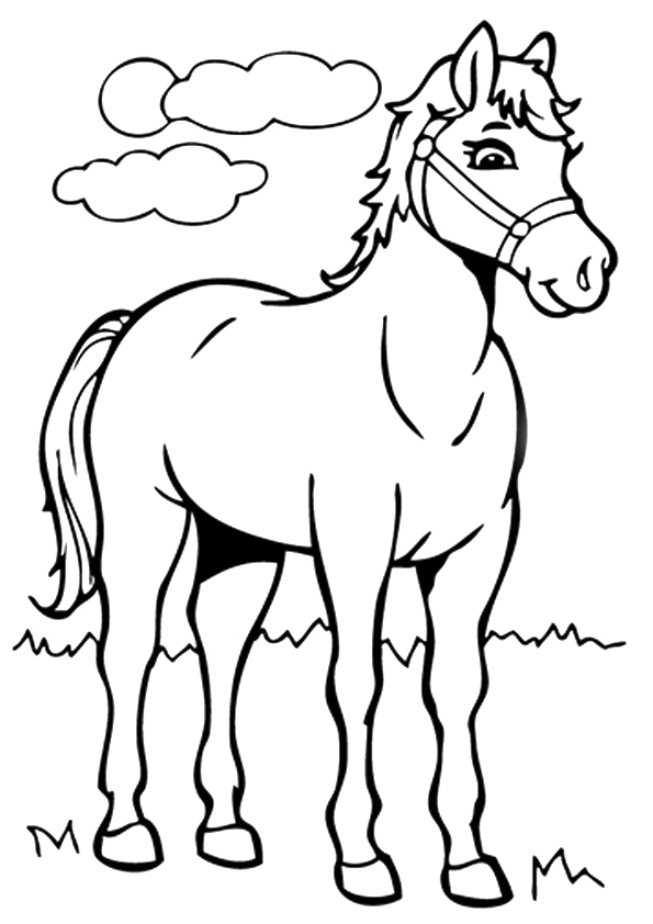 Desenho de Lindo Cavalo no Campo para Colorir