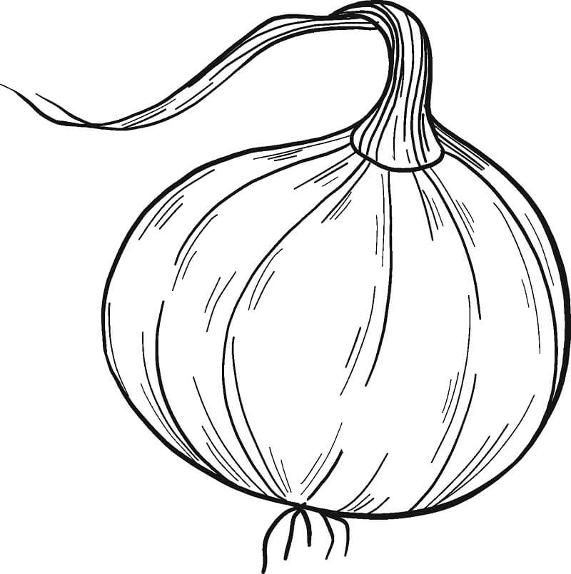 Desenho de Cebola Bonita para Colorir Pdf