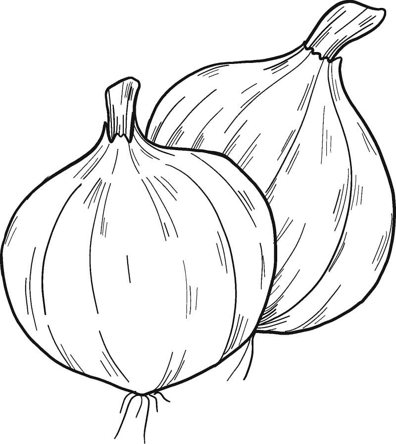 Desenho de Cebola com Folhas para Colorir