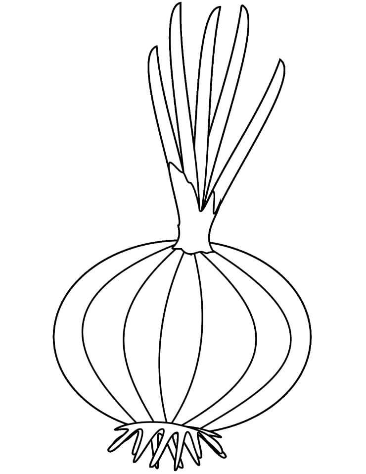 Desenho de Cebola em Cesta para Imprimir