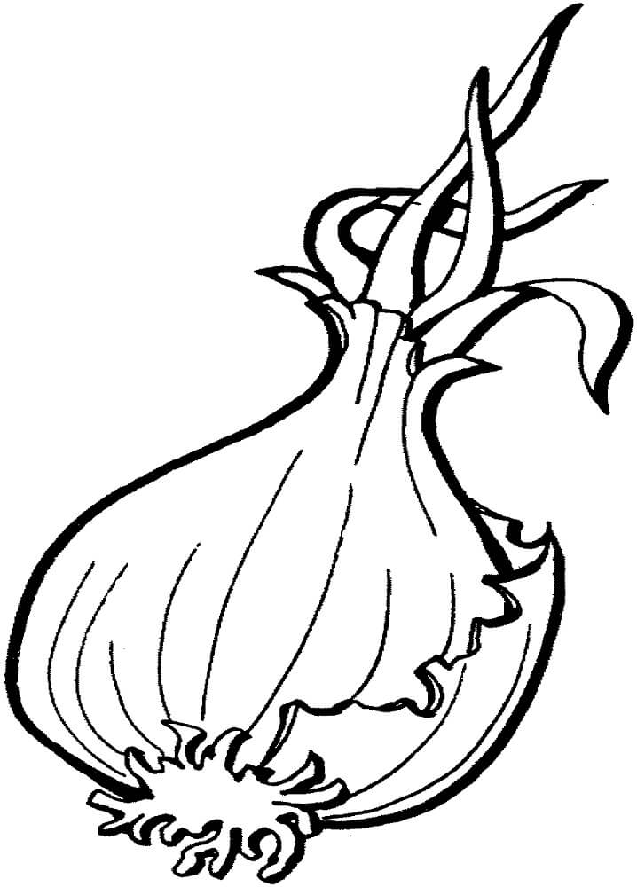 Desenho de Cebola Engracada para Pintar Giz de Cera