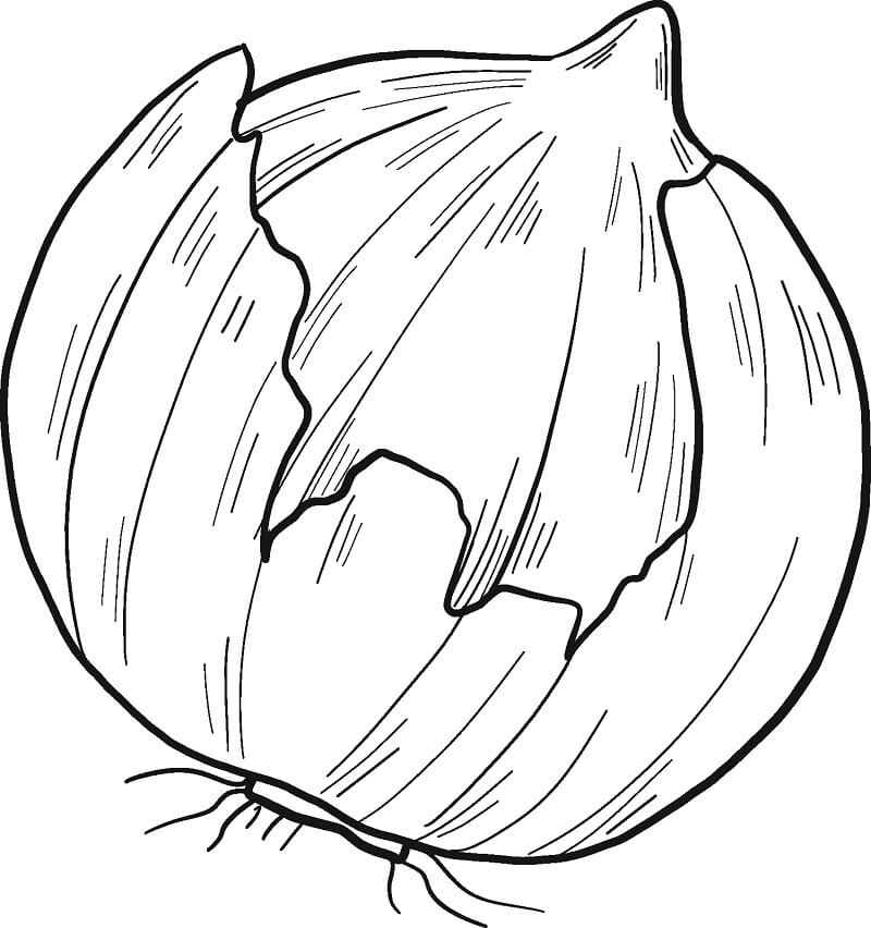 Desenho de Cebola Fofa para Colorir Pdf