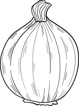 Desenho de Cebola Infantil para Imprimir