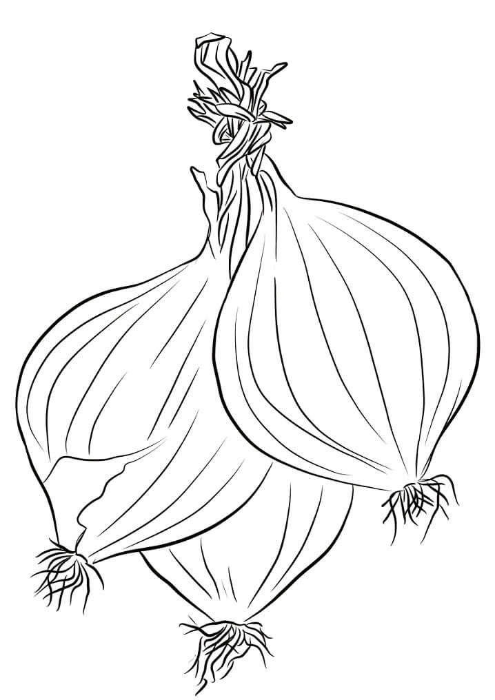 Desenho de Cebola na Horta para Imprimir