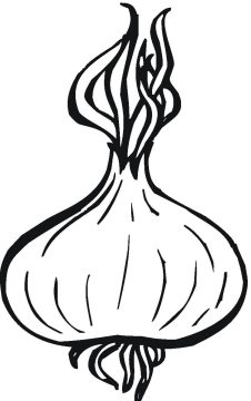 Desenho de Cebola para Imprimir lápis de Cor