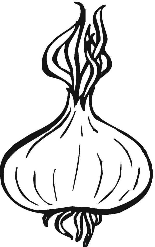 Desenho de Cebola para Imprimir Lápis de Cor