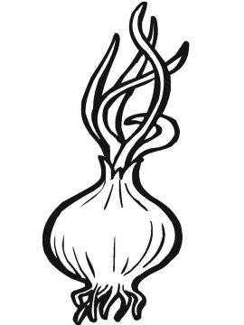 Desenho de Cebola Pequena para Imprimir lápis de Cor