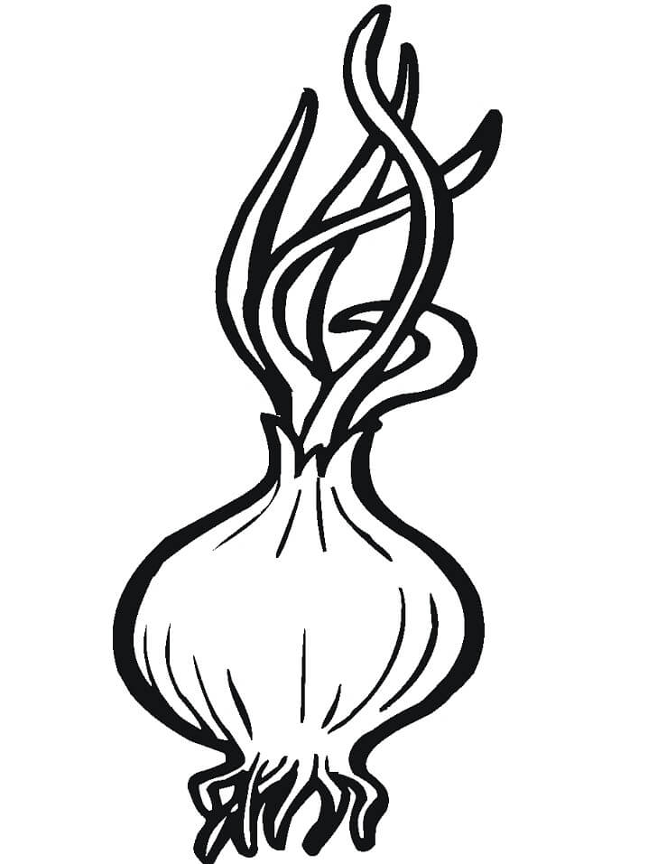 Desenho de Cebola Pequena para Imprimir Lápis de Cor