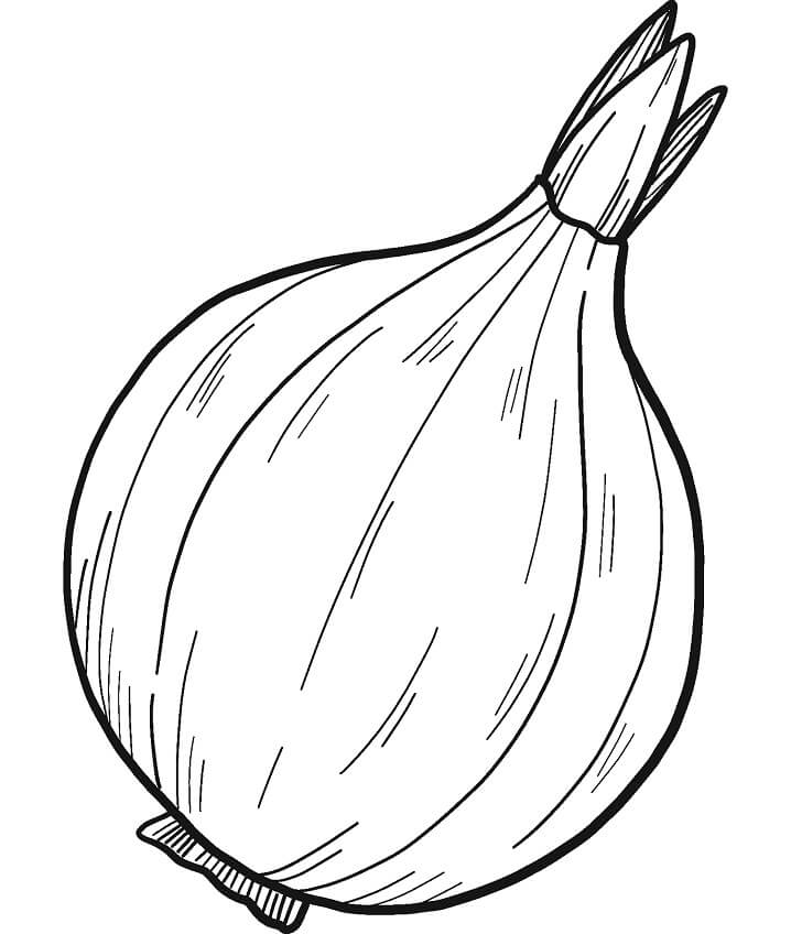 Desenho de Cebola Realista para Colorir