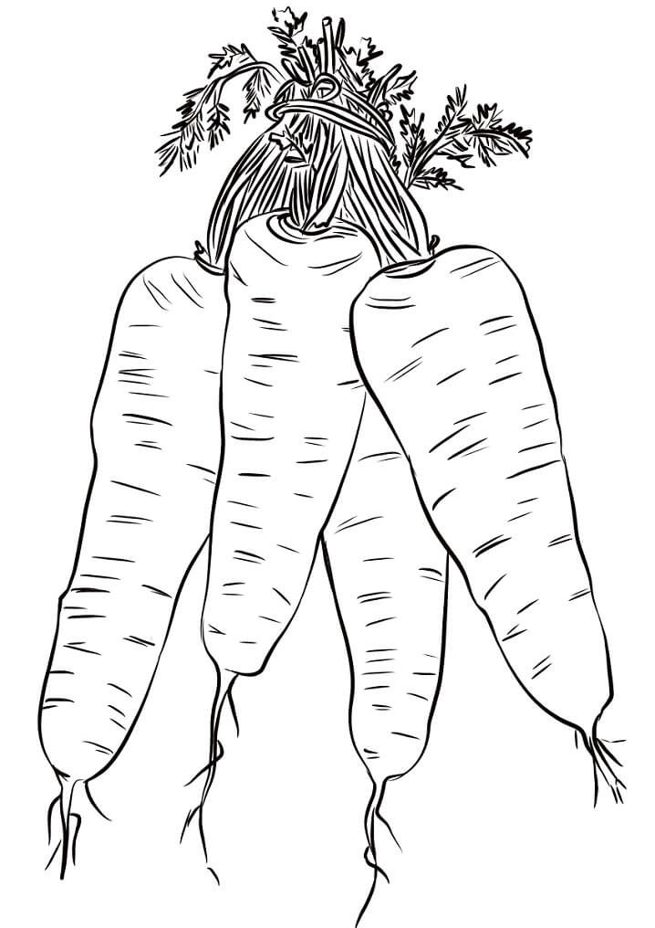 Desenho de Cenoura em Cesto para Colorir