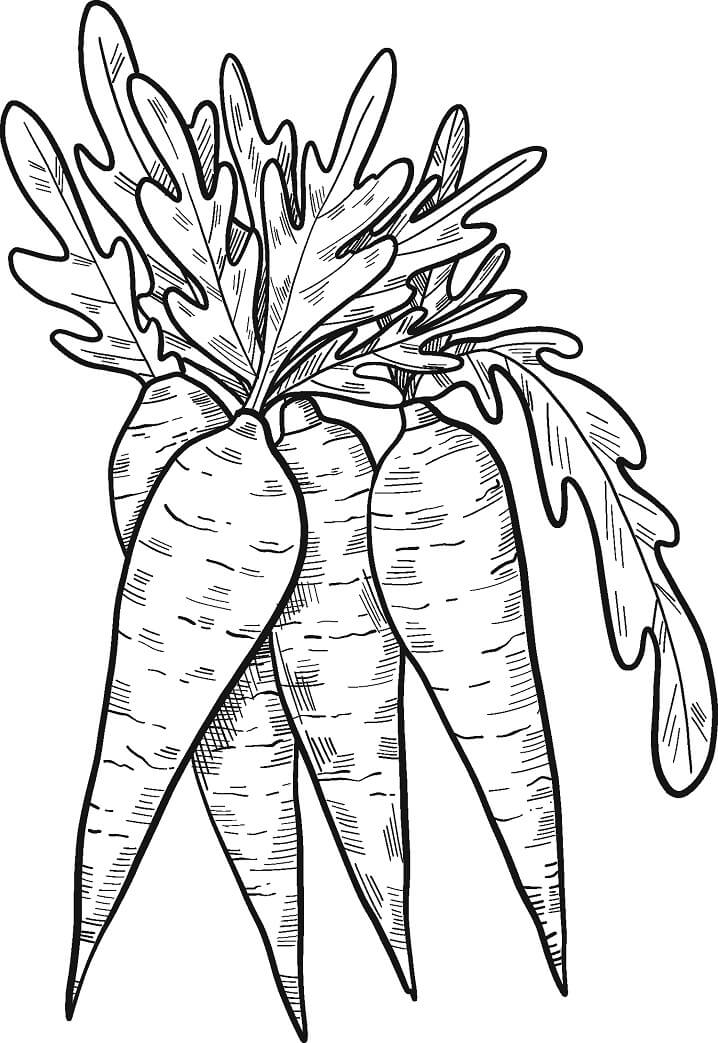 Desenho de Cenoura na Cozinhá para Colorir