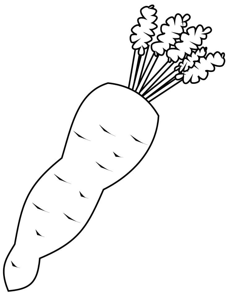 Desenho de Cenoura na Horta para Imprimir