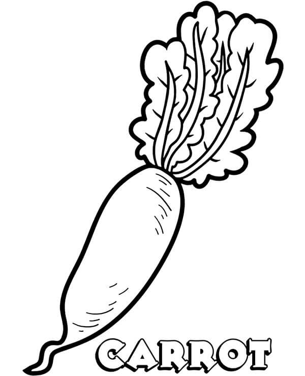 Desenho de Cenoura Realista para Colorir