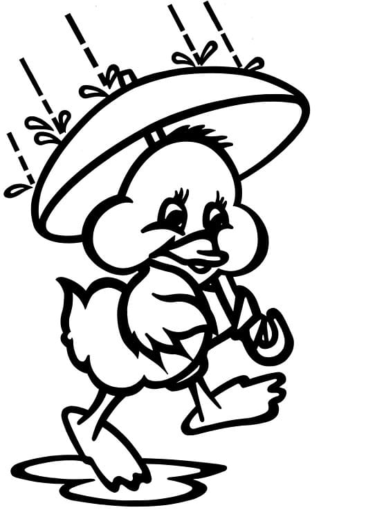 Desenho de Patinho na Chuva para Colorir