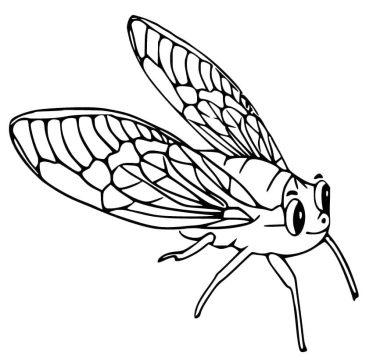 Desenho de Linda Cigarra para Colorir