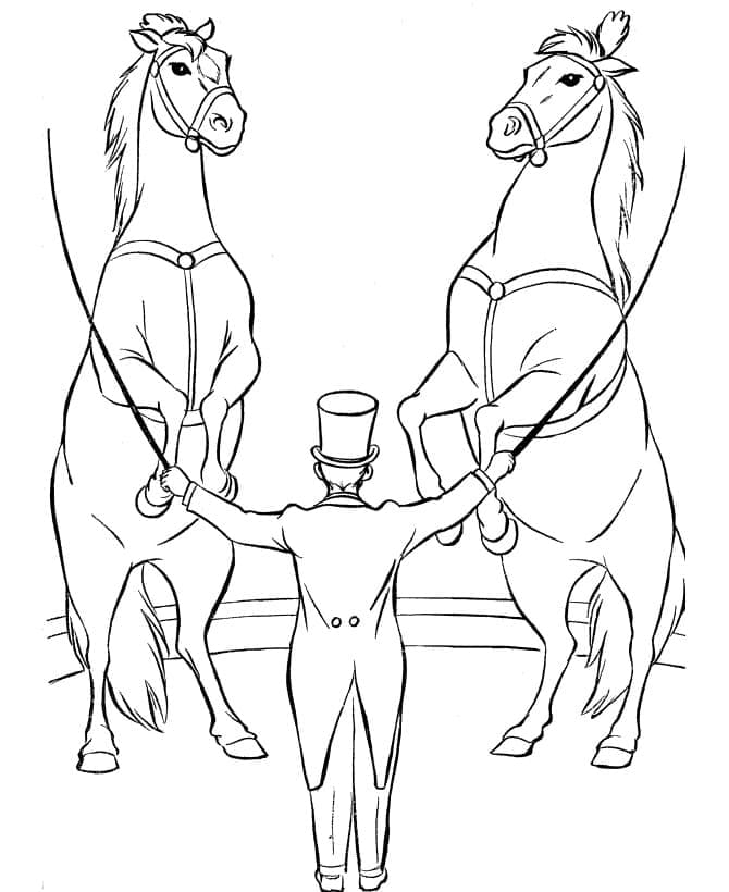 Desenho de Cavalos de Circo para Colorir