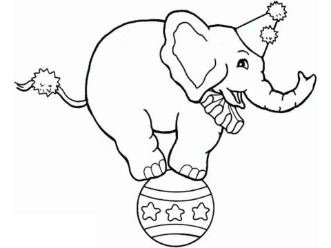 Desenho de Um Elefante de Circo para Colorir