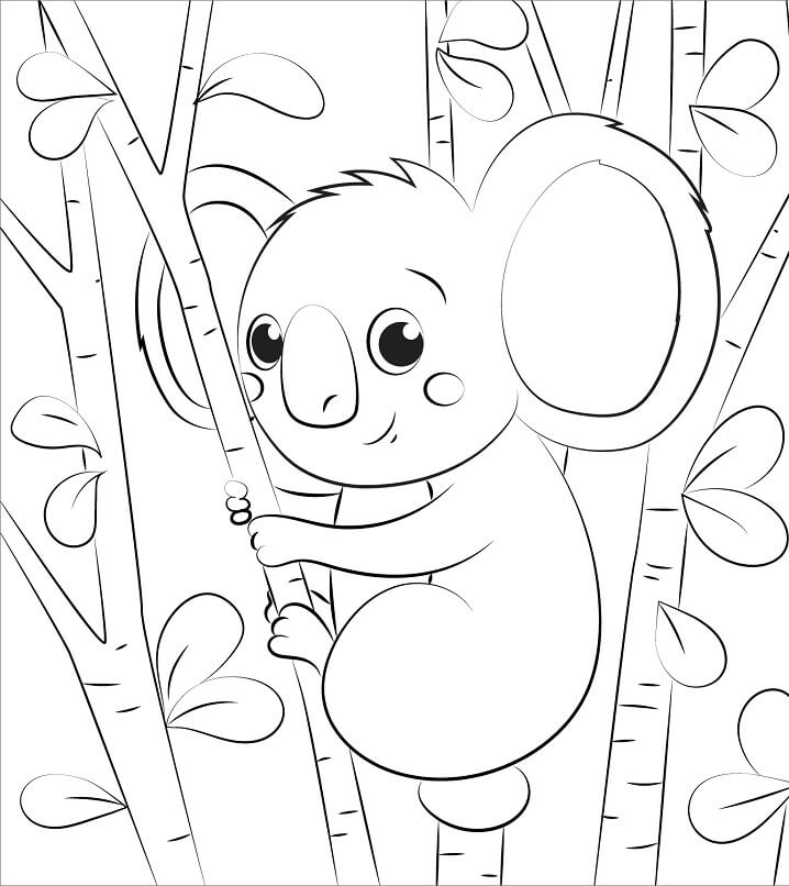 Desenho de Coala Bonito para Colorir Pdf