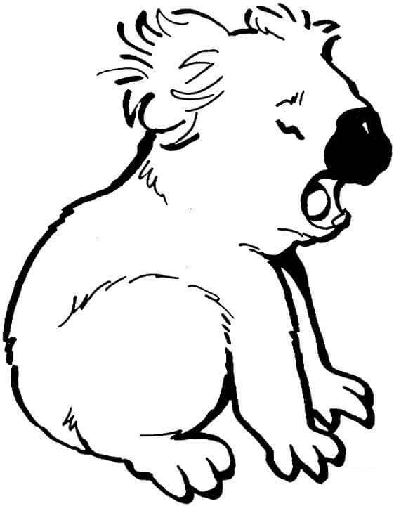 Desenho de Coala com Bambu Imprimivel Download