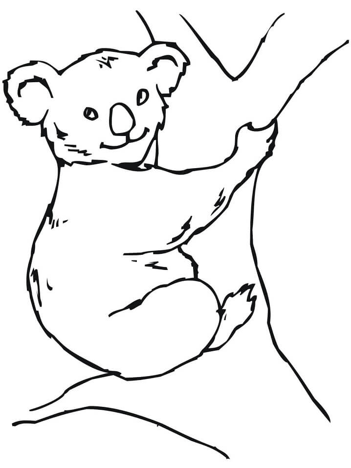 Desenho de Coala com Filhote para Colorir