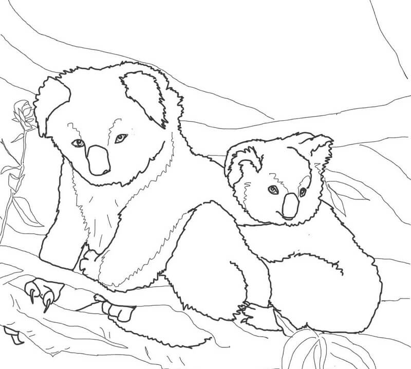 Desenho de Coala com Frutas para Imprimir