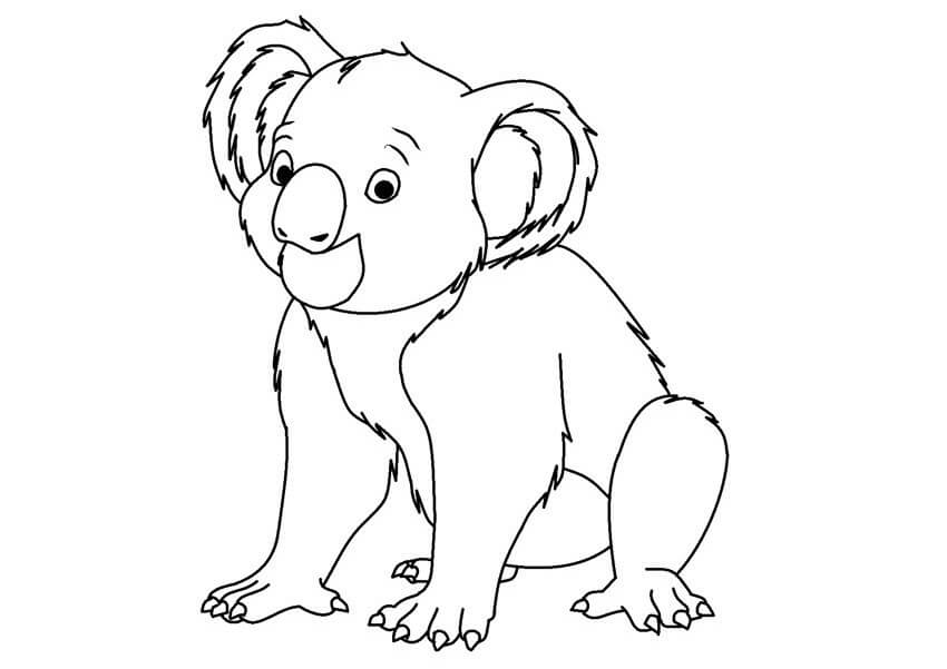 Desenho de Coala com Galhos para Imprimir