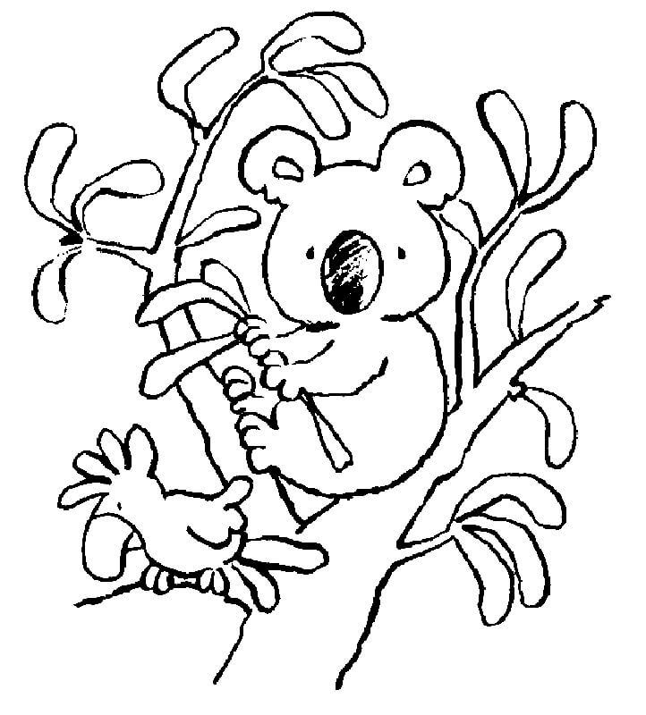 Desenho de Coala Deitado para Imprimir