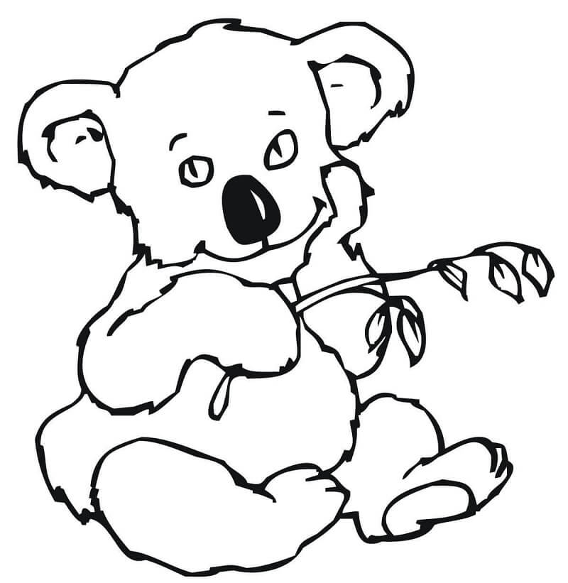 Desenho de Coala Fofo para Colorir Pdf