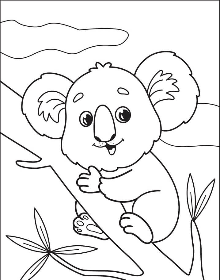 Desenho de Coala Imprimivel Download