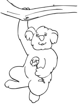 Desenho de Coala na árvore para Imprimir