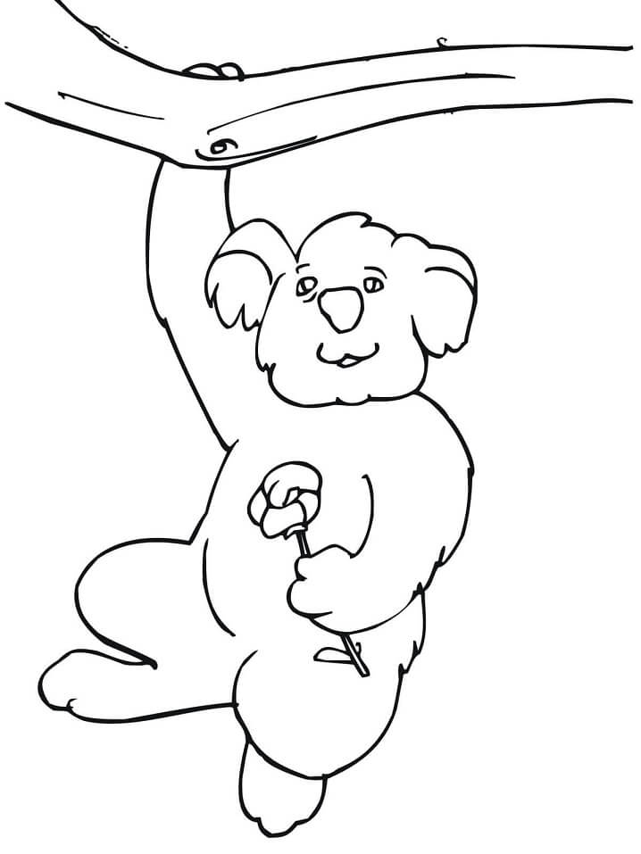 Desenho de Coala na Árvore para Imprimir