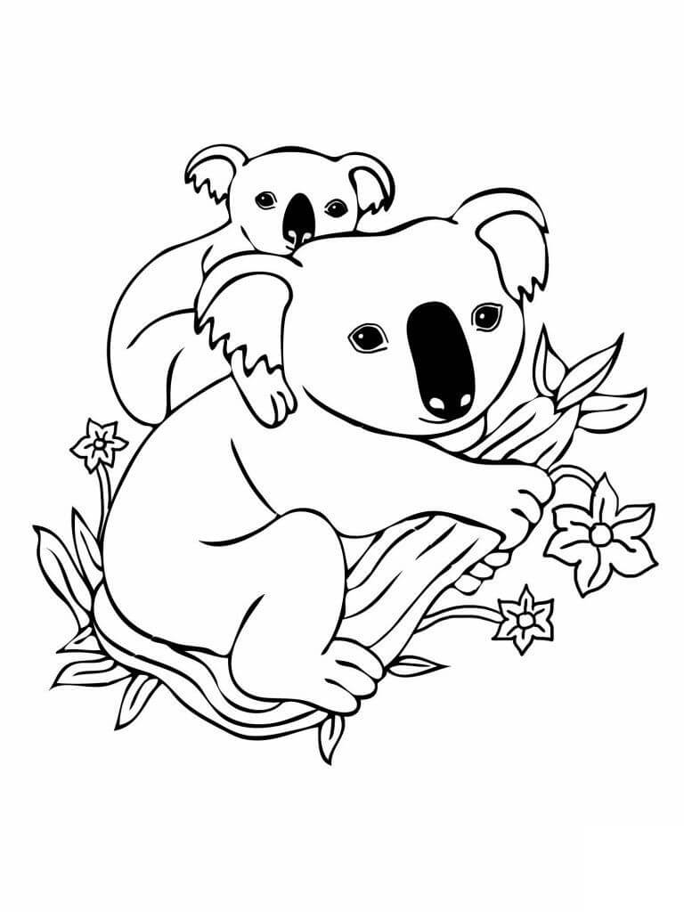 Desenho de Coala na Selva para Imprimir e Pintar Grátis