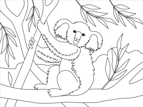 Desenho de Coala no zoológico para Colorir