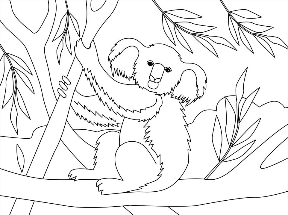 Desenho de Coala no Zoológico para Colorir