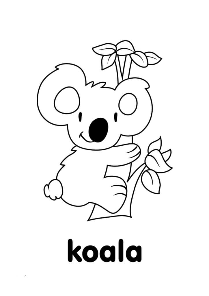 Desenho de Coala para Colorir Pdf